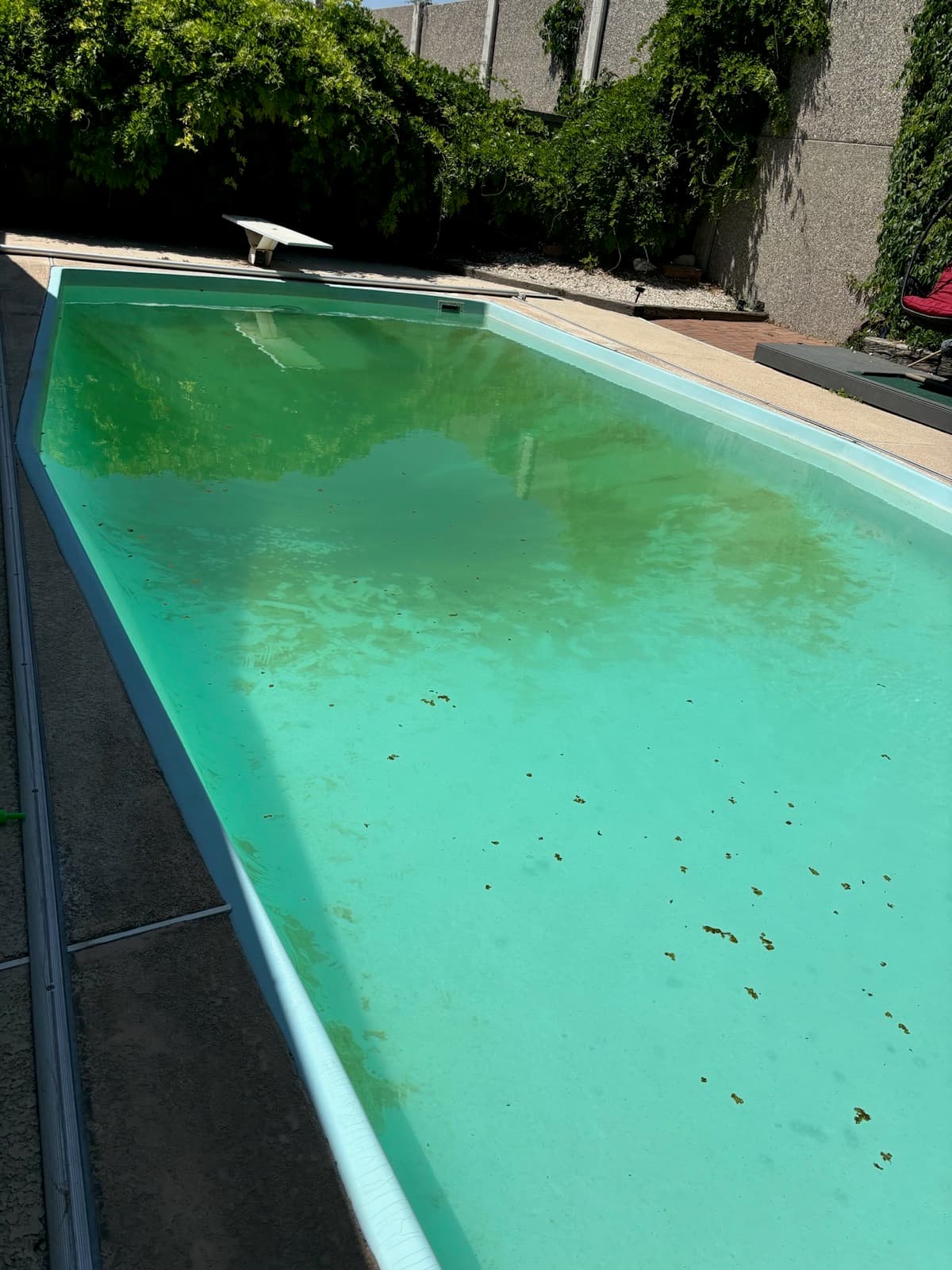Green algae-covered pool before recovery service
